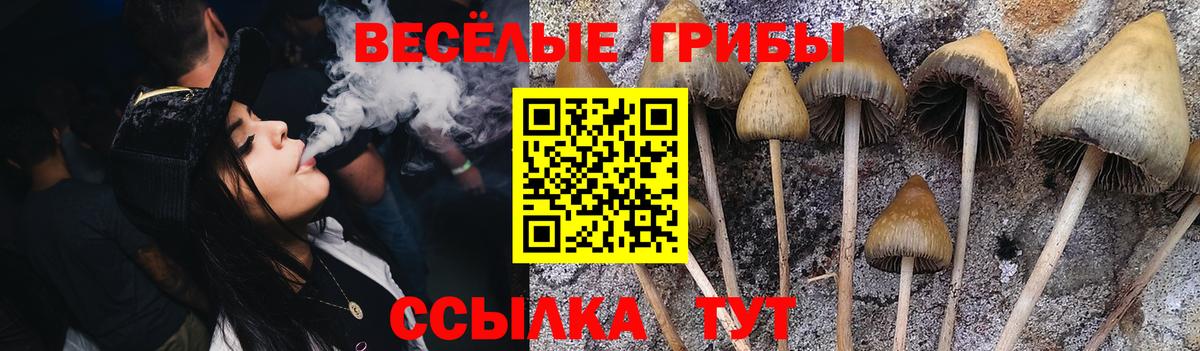Псилоцибиновые грибы Cubensis  Псилоцибиновые грибы мухоморы  Вход с VPN  Богданович 
