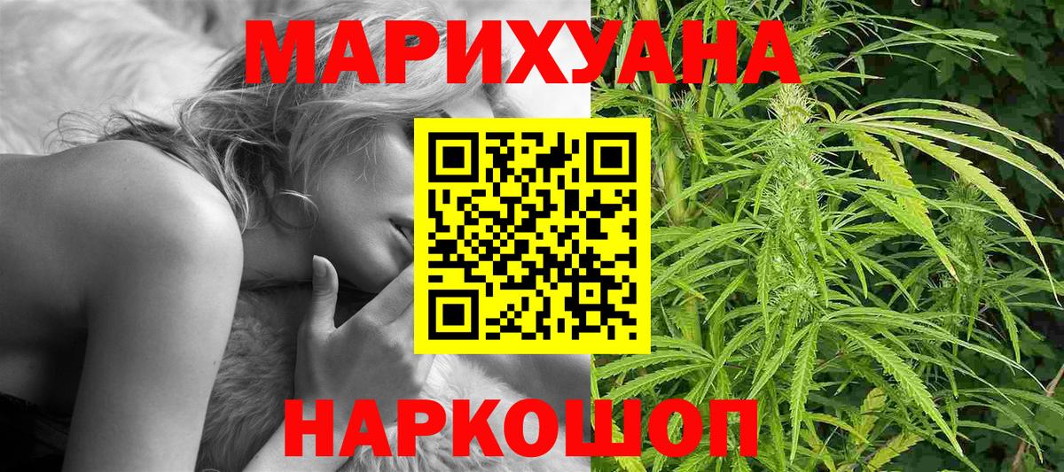 Каннабис сатива Богданович
