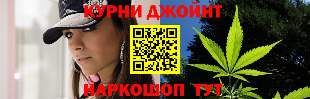 Шишки марихуана сатива  Конопля сатива  Богданович  Вход с VPN 